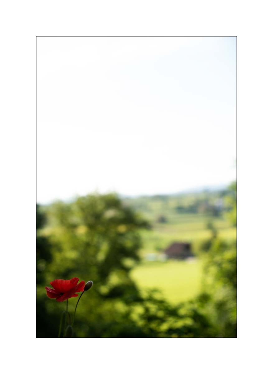 JuraDSC_6833.jpg