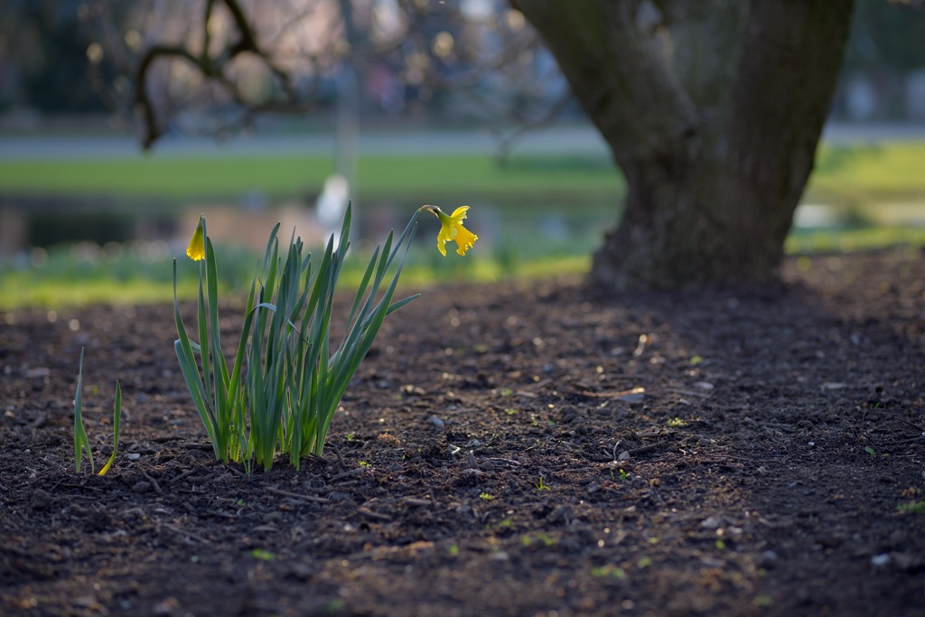 Köln Rheinpark 20140302 170943