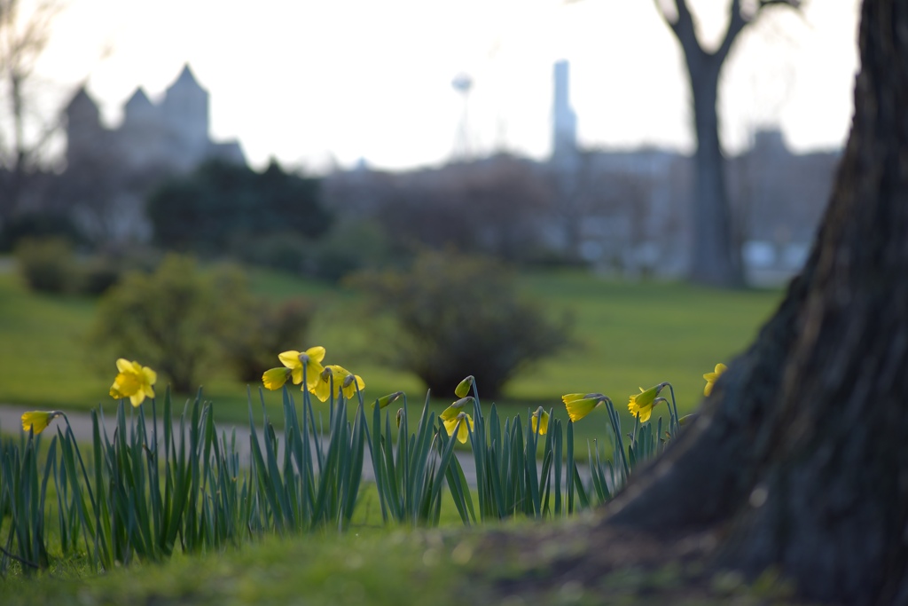 Köln Rheinpark 20140302 172705