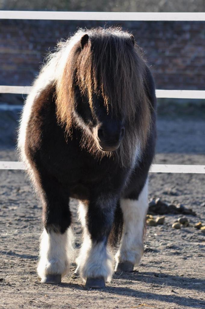 K: D90, 50-150, 120mm, F5, 1/250, ISO250, -0,3, Mittenbetont, A