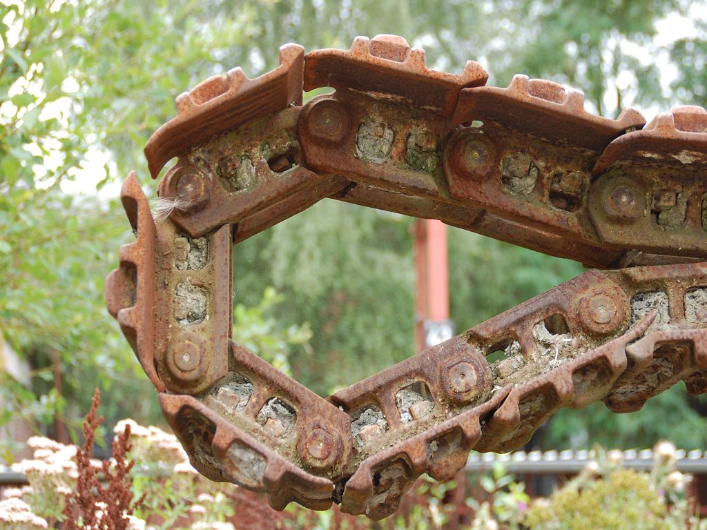 k DSC 6367