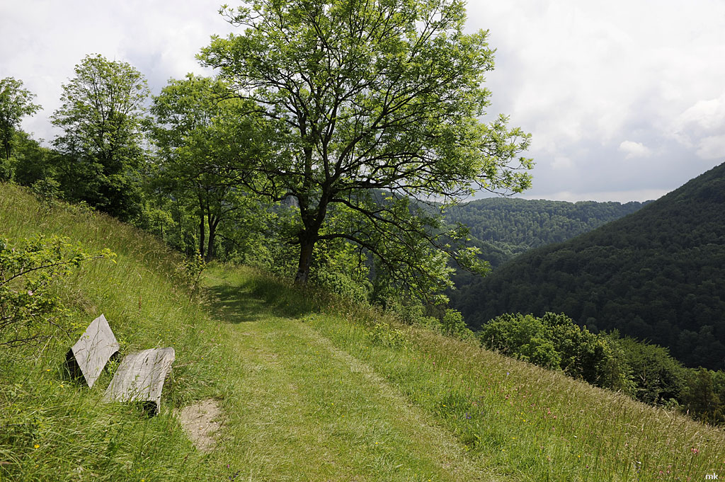 k DSC5701