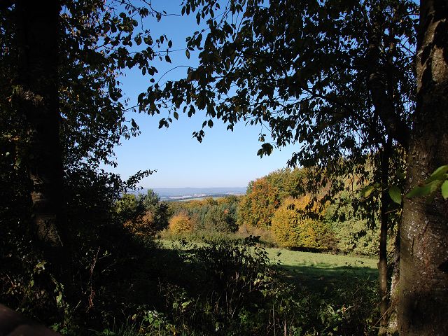 k Herbst im Wald 06