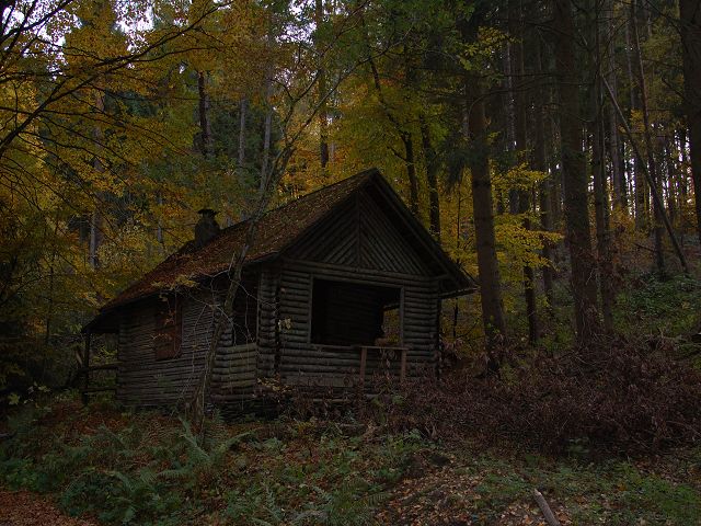 k Waldhütte im Herbst