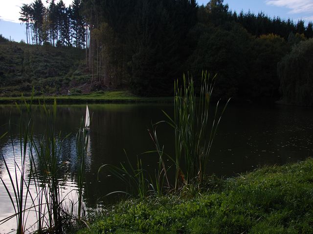 k Waldsee 2010
