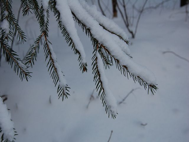 k Winterbilder 01