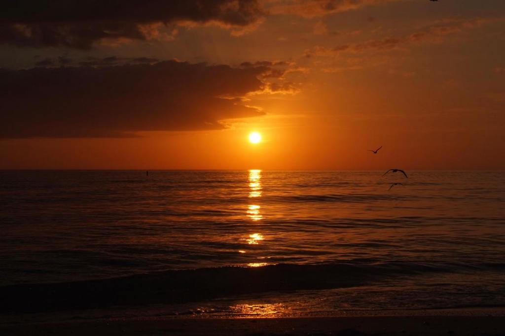 K1024 Florida 2013 355