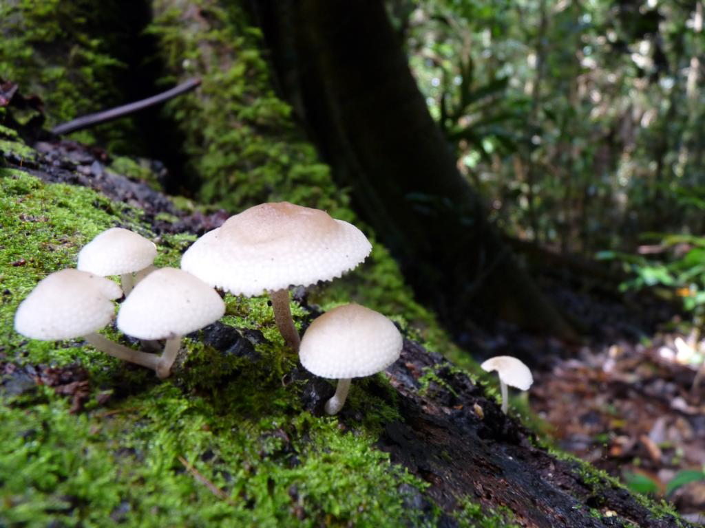 K1024 P1030319