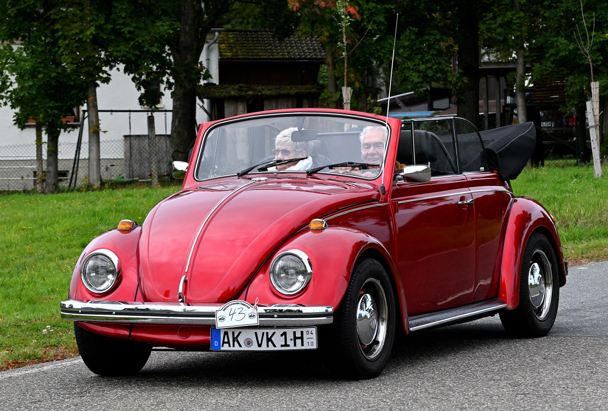 Kaefer-04.JPG