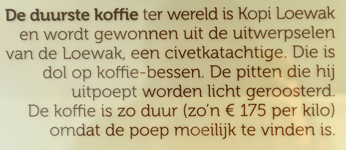 Kaffee Schleichkatze.jpg
