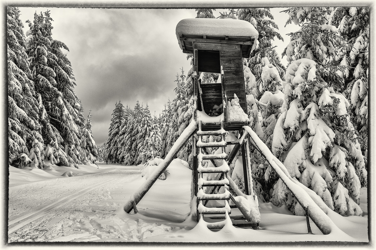Kaltenbronn-3137-Bearbeitet.jpg