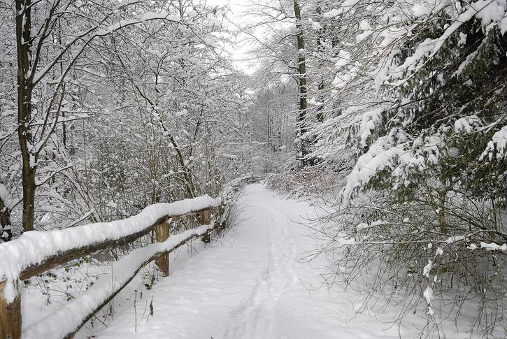 Kammerberg 01/2010