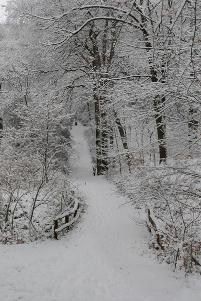 Kammerberg 01/2010