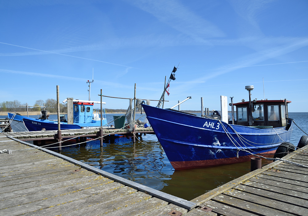 Kamminke Hafen, 1
