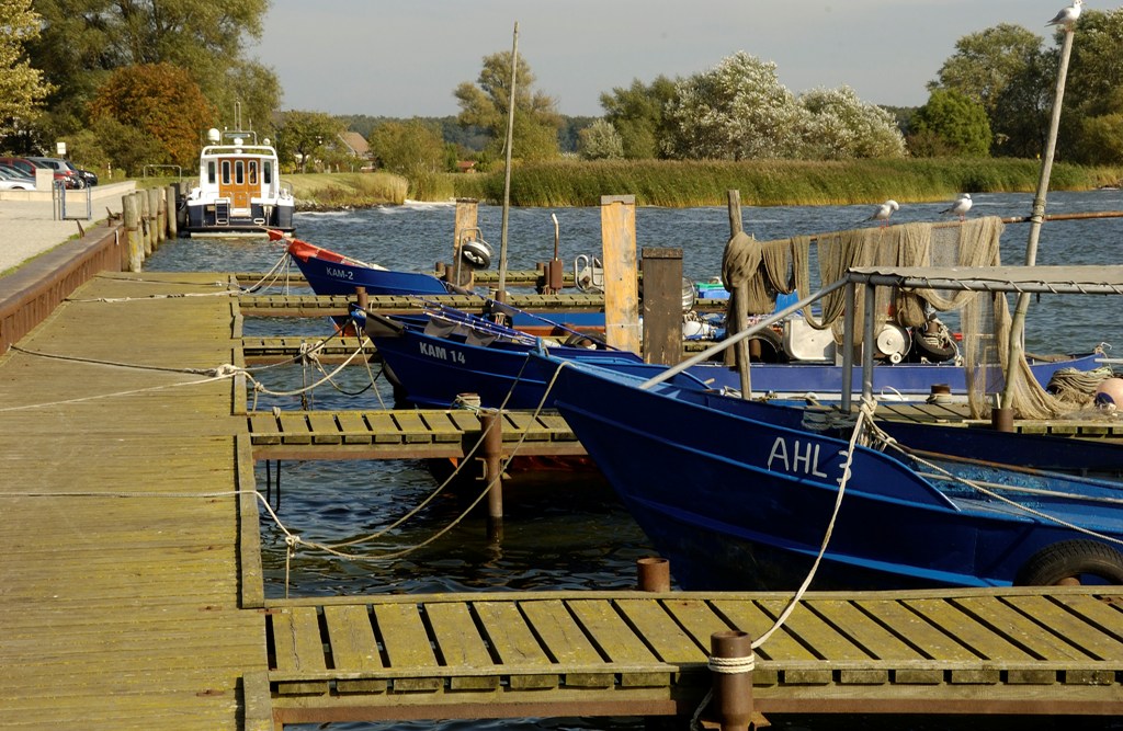 Kamminke, Hafen DSC 0879x