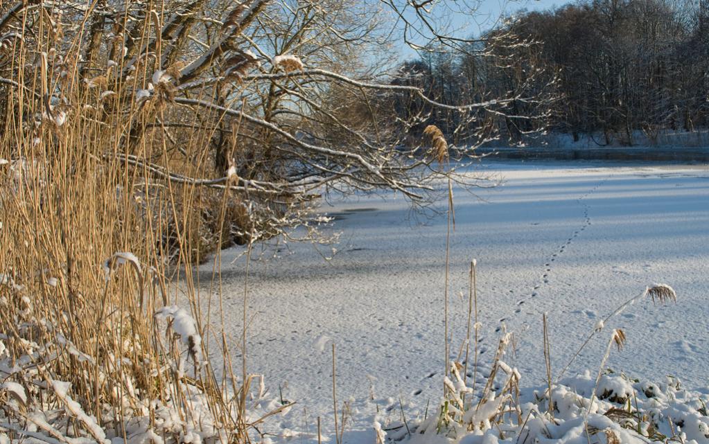 Kanal winter 2
