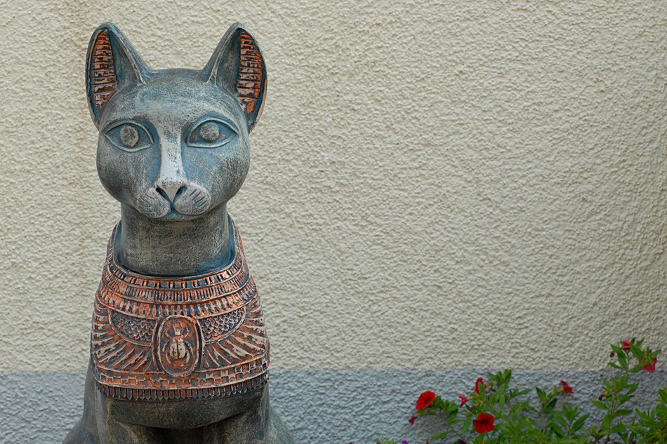 katze ladenburg
