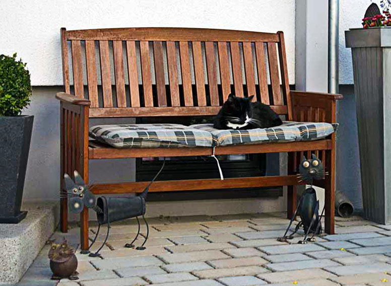 Katzenkonferenz