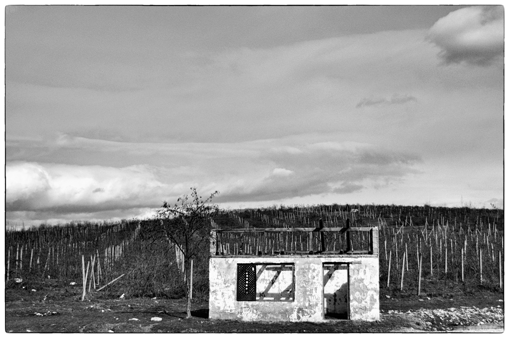 KauDSC 3838