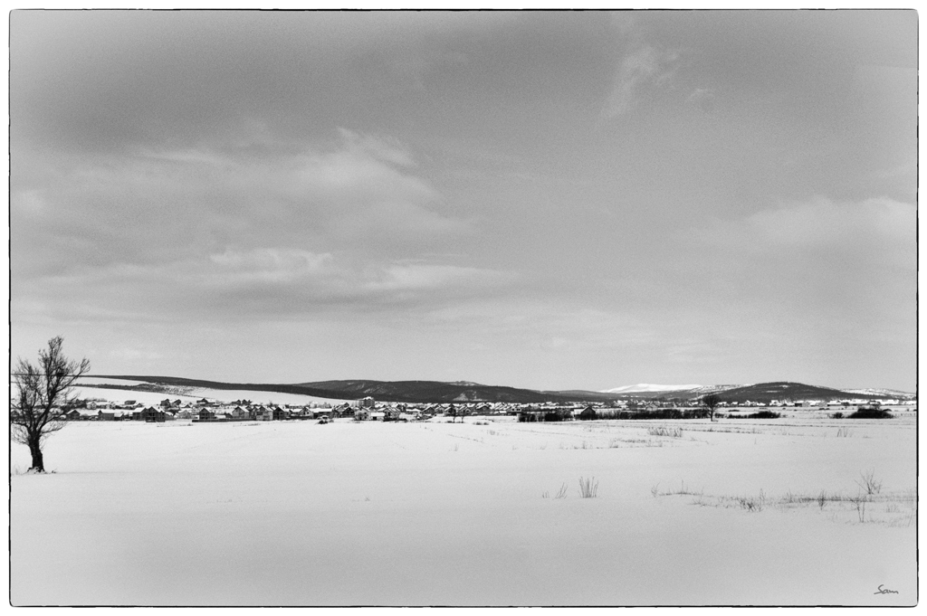KauDSC 3948