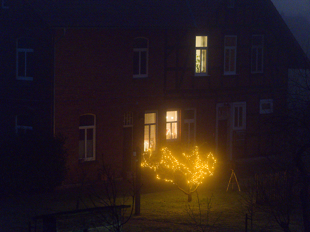 kein Tannenbaum