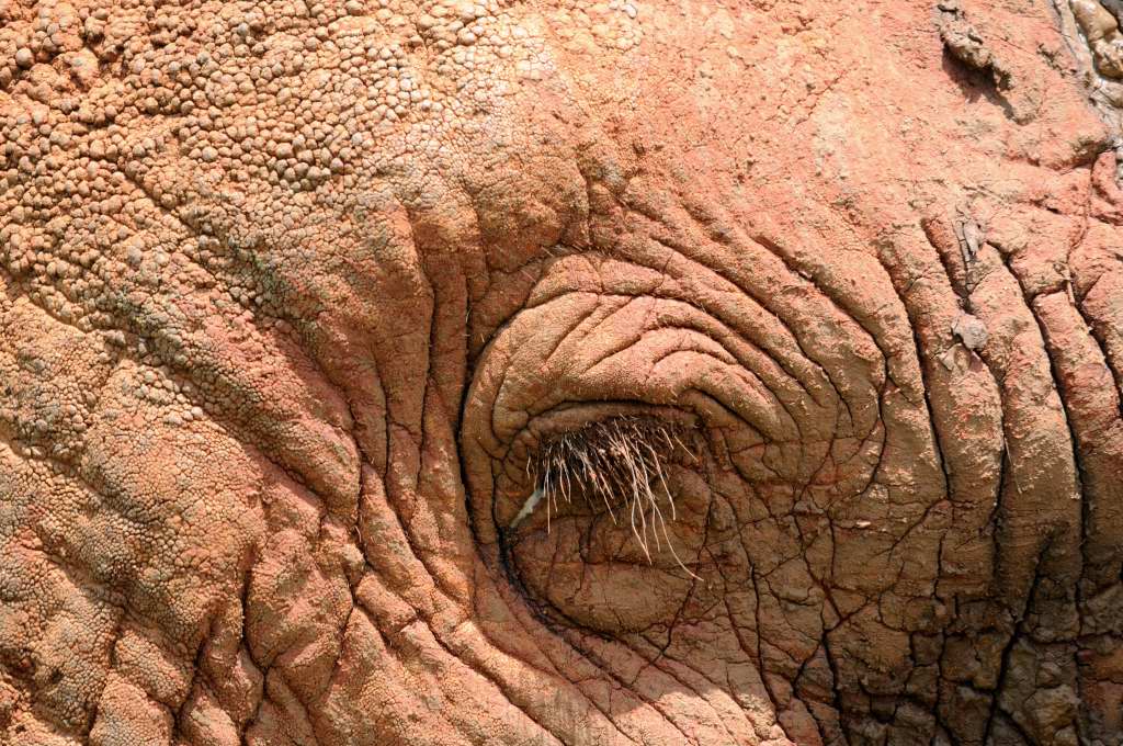 Kenia 12/2010 02