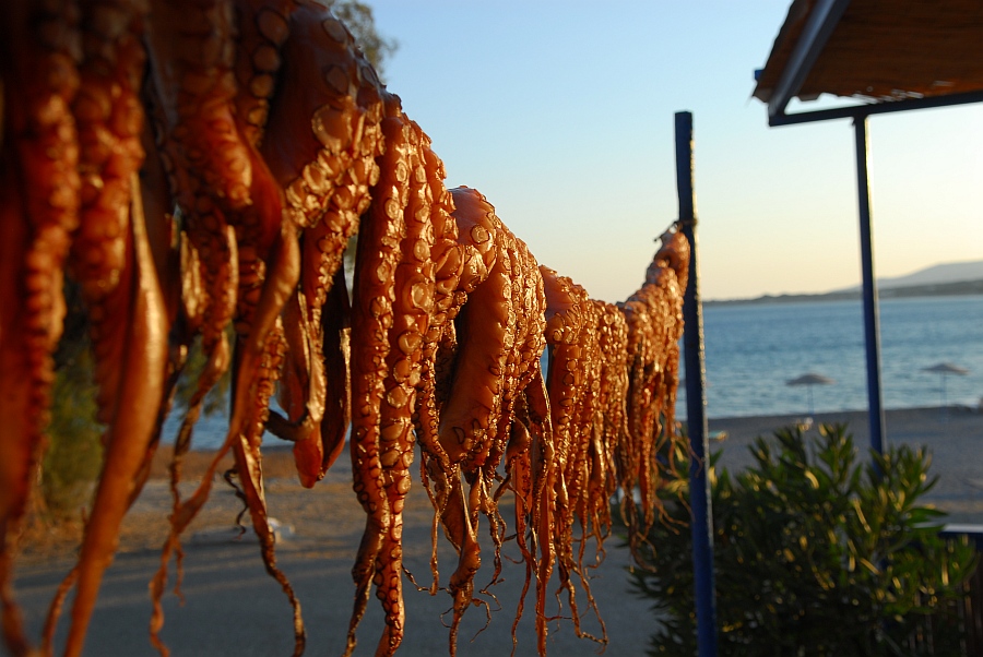 kenzaburo rhodos 01