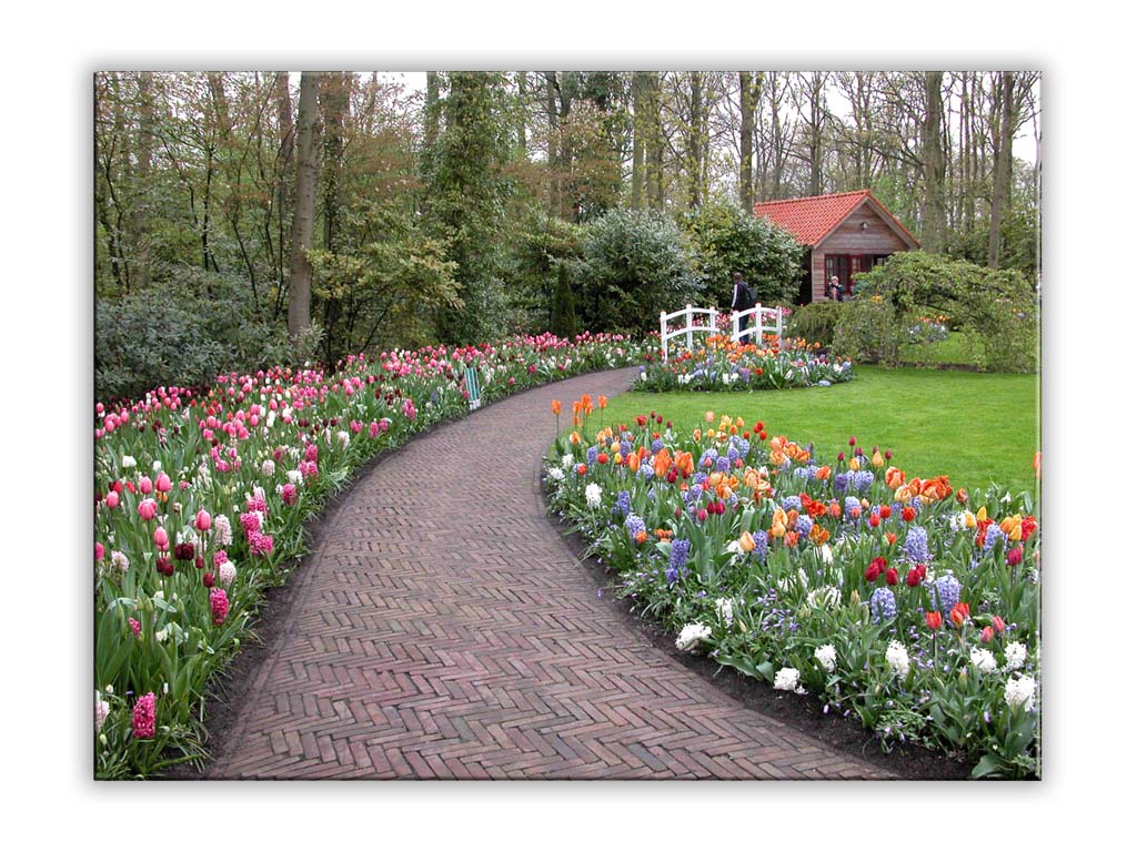 Keukenhof bunt