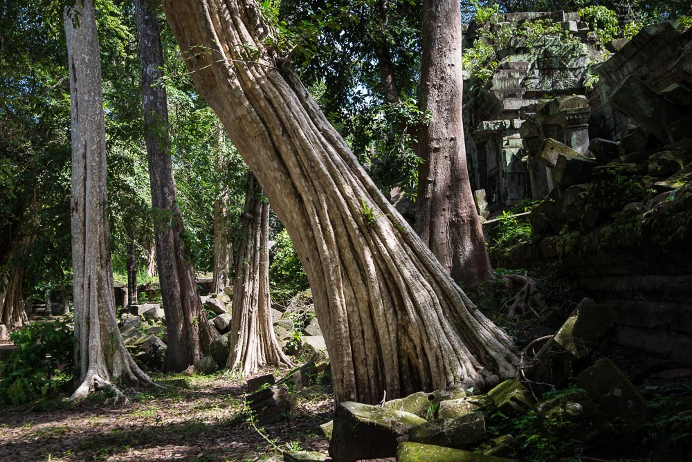 KHM Beng Mealea048