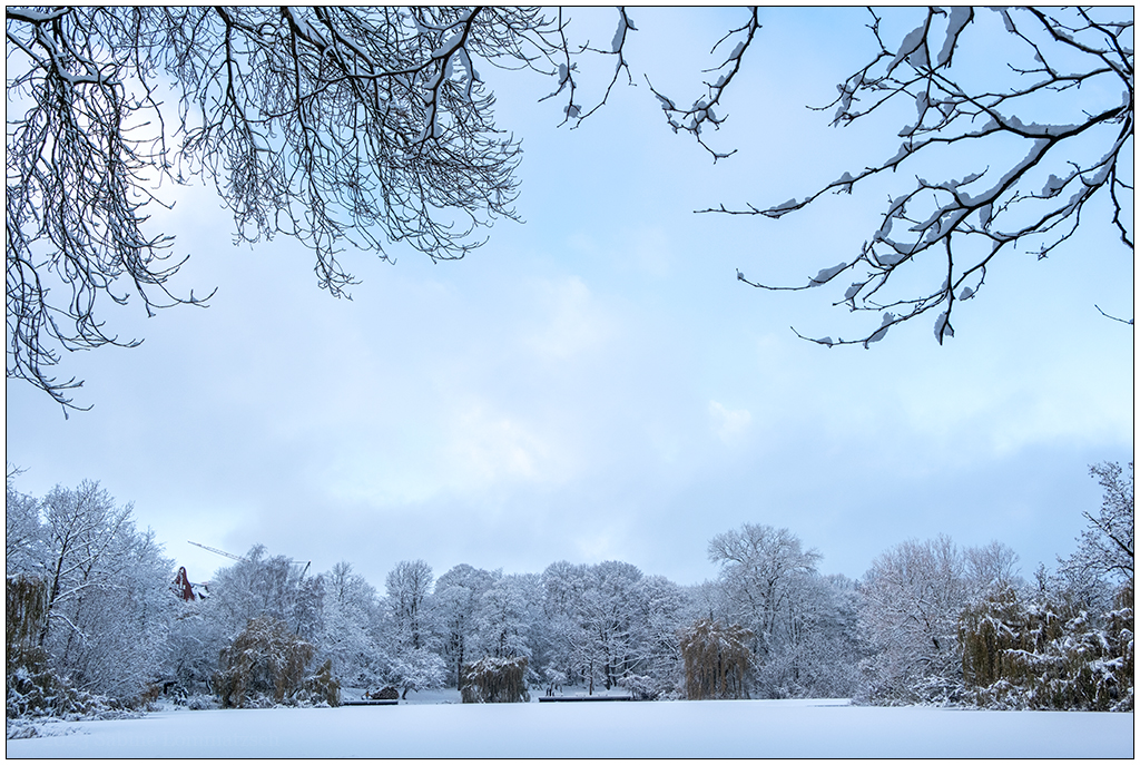 Kieler Schrevenpark im Dezember – Winterwunderland I