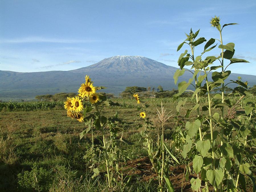 Kili 06