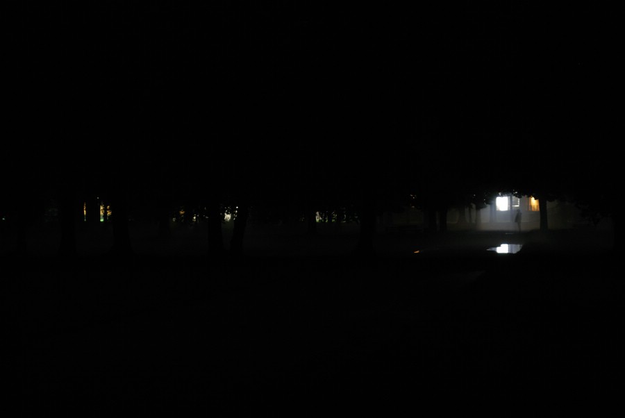 Kili im Park