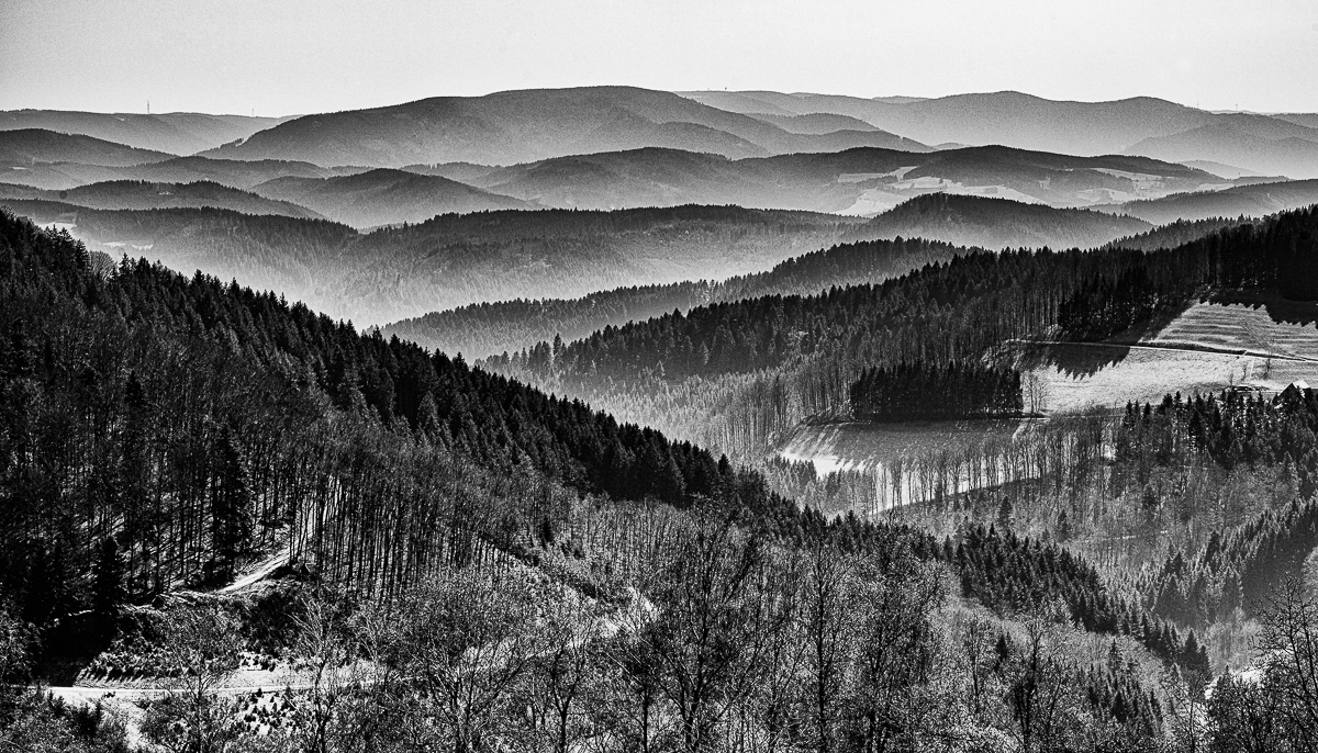 Kinzigtal-März-9878-Bearbeitet-Bearbeitet.jpg