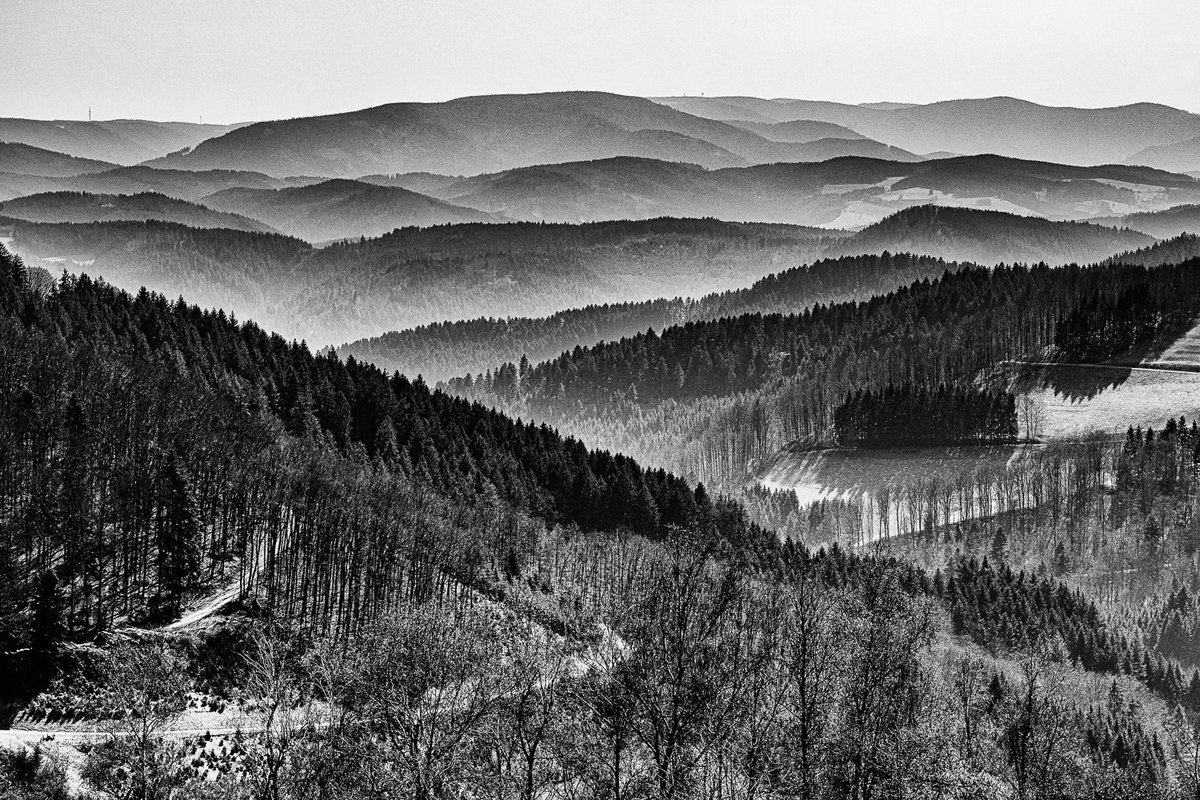 Kinzigtal-März-9878-Bearbeitet-Bearbeitet.jpg