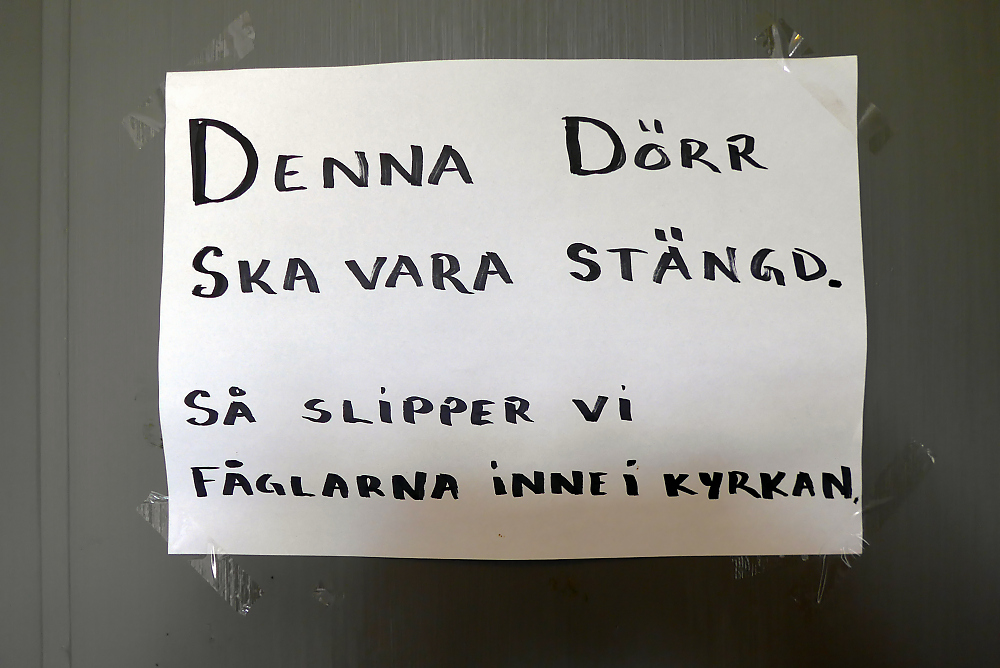 Kirchenvögel.jpg