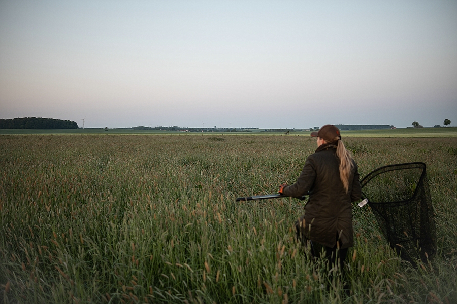 Kitze 2