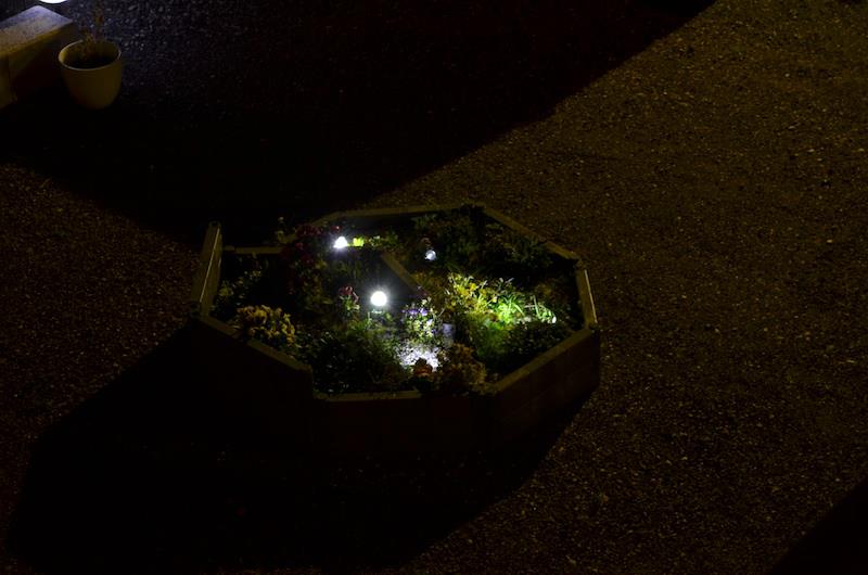 Kleine Garten mit Lichtstrahl - Nachtfoto in M-Modus ISO100 , f8 , 30sek