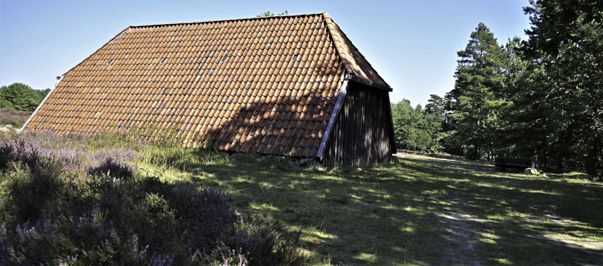 Kleiner Rundgang durch die Heide 1-5.JPG