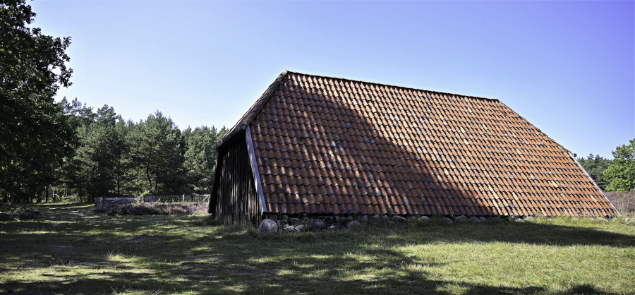 Kleiner Rundgang durch die Heide 3-5.JPG