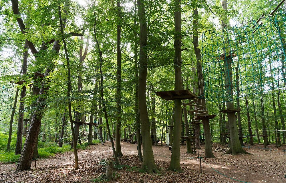 Kletterwald.jpg