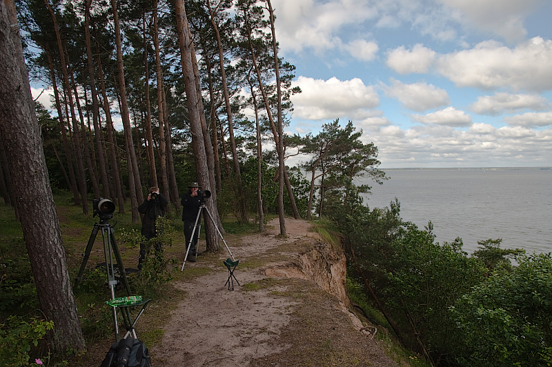 klippe