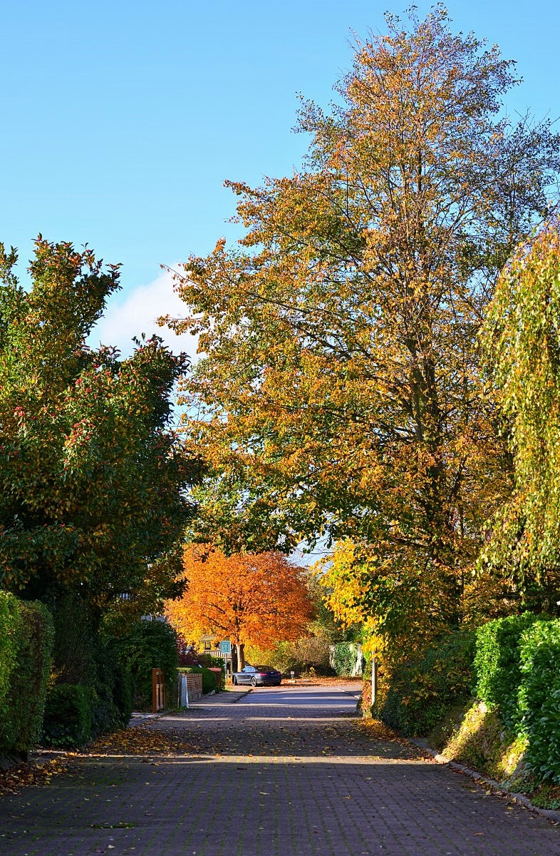KLS202011010003M_01.jpg