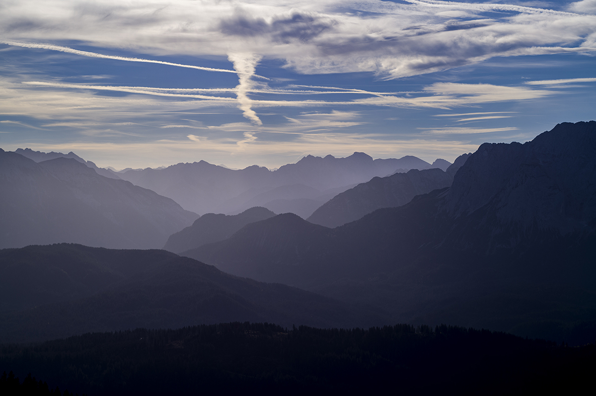 kM1003173.jpg