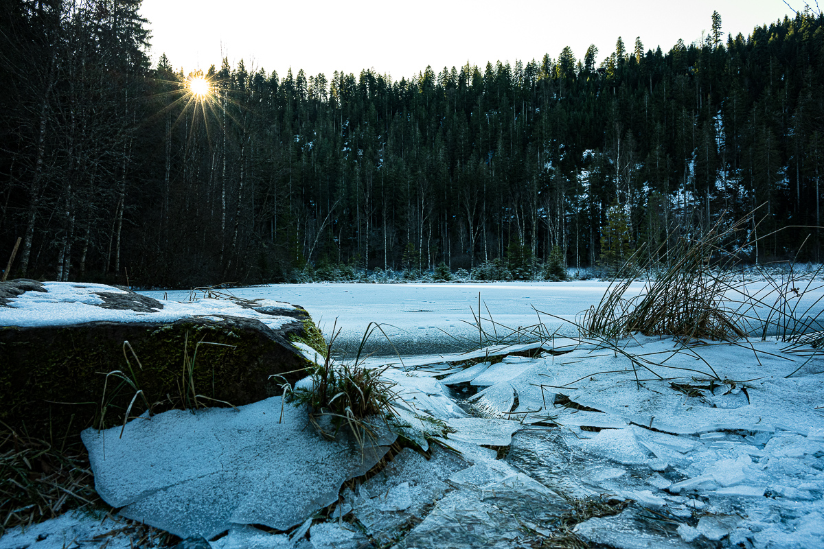 Kniebis Januar-5347.jpg