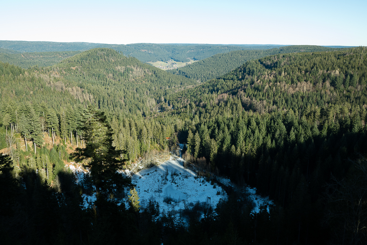 Kniebis Januar-5355.jpg