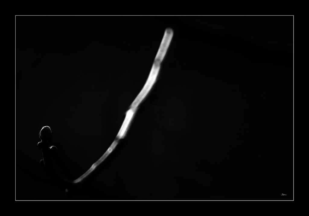 KnospeDSC 0127