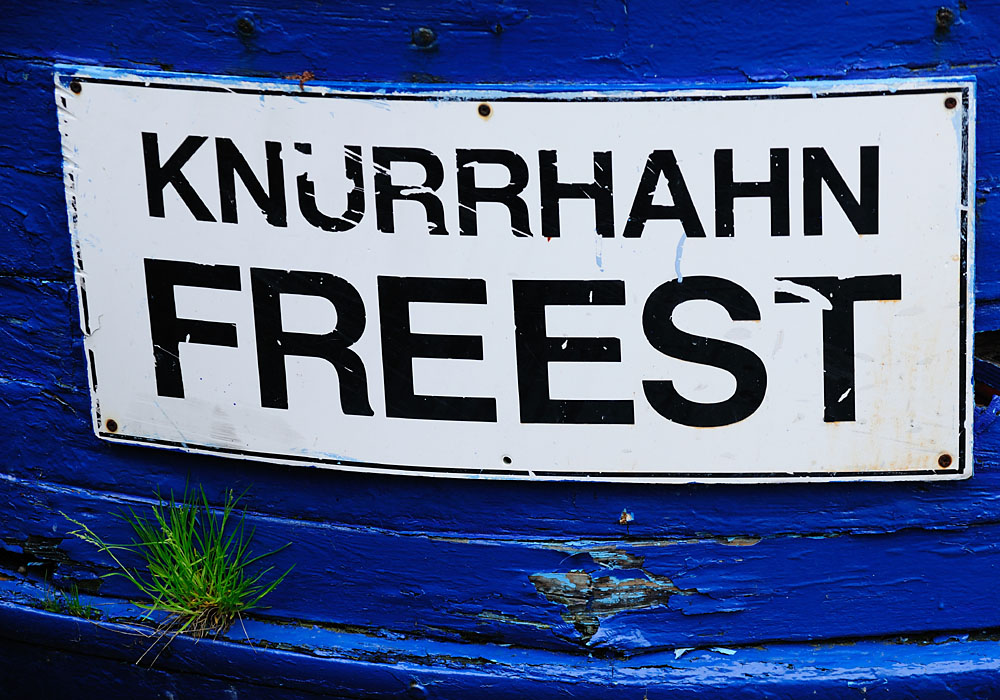 Knurrhahn Freest