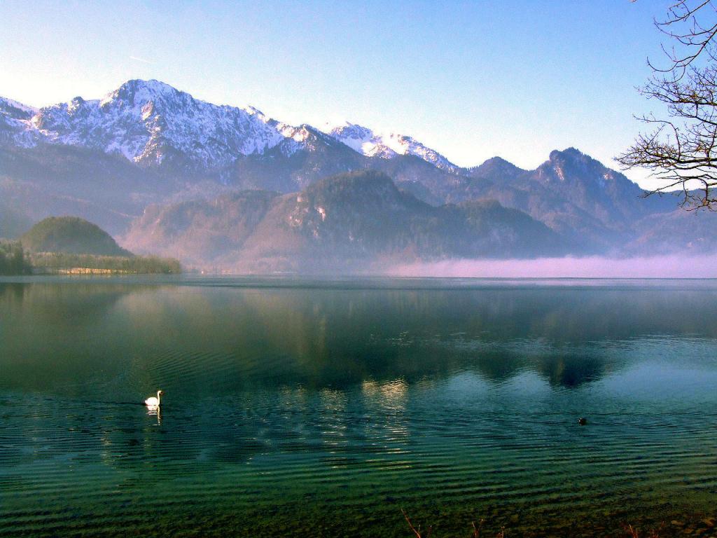 Kochel2008 0213(004)
