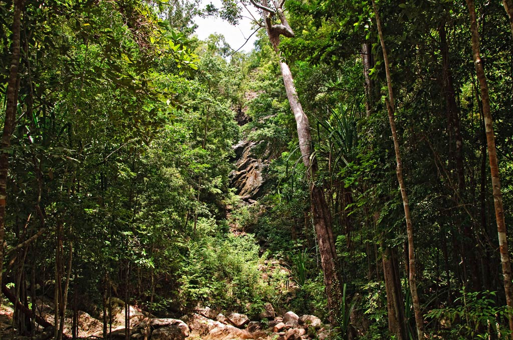 Koh Phangan 1