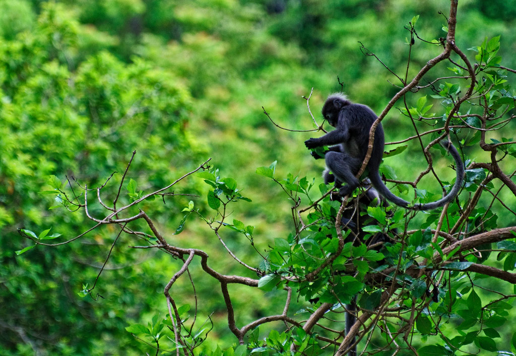 Koh Phangan 7